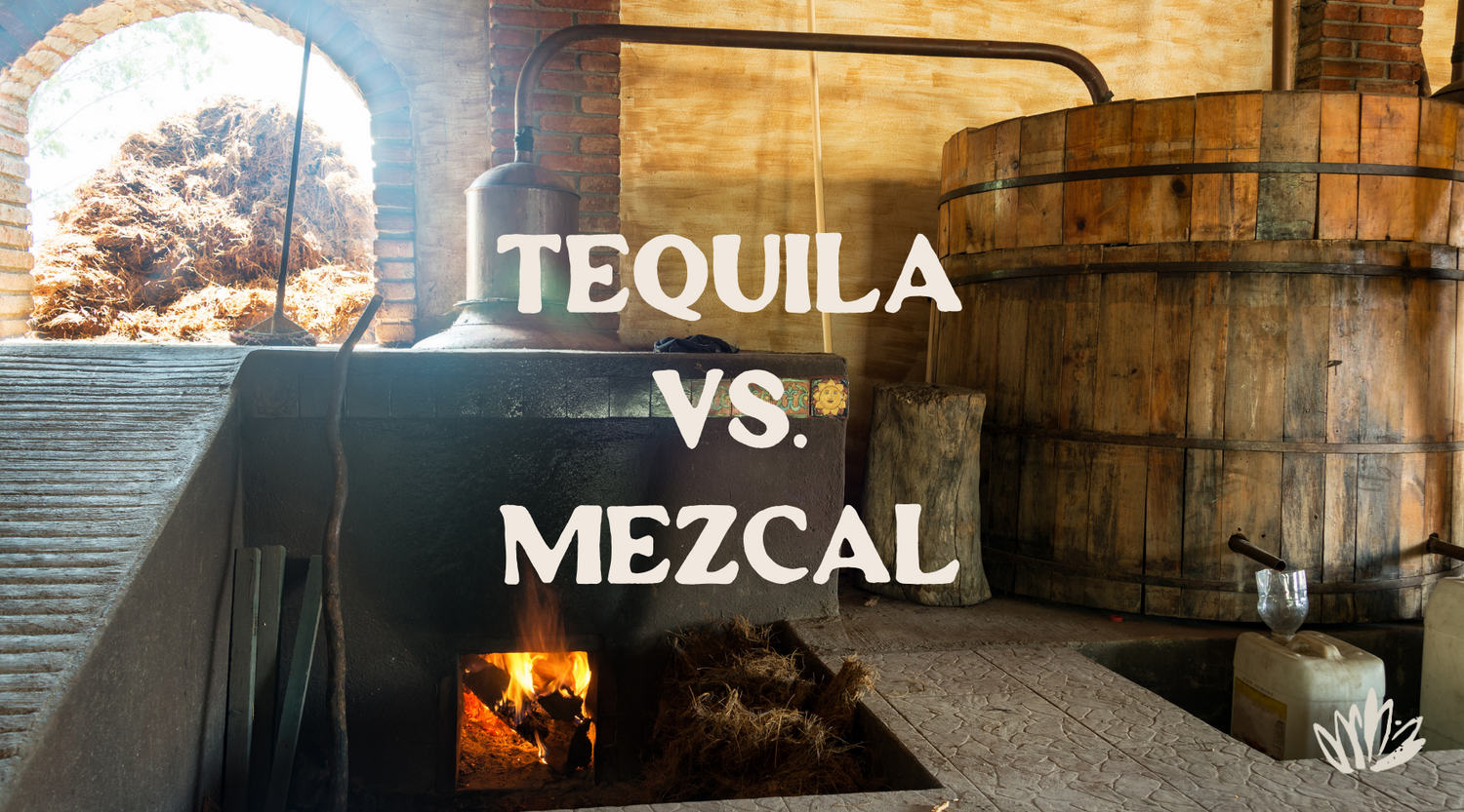Unveiling the Spirits: Tequila and Mezcal